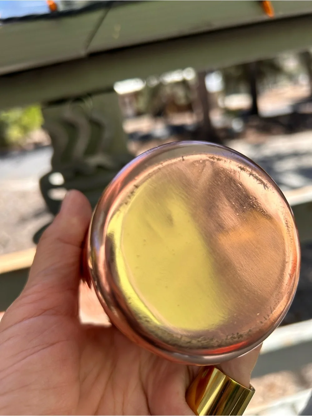 Vintage Pier 1 imports, Pilsner made in India copper stainless steel